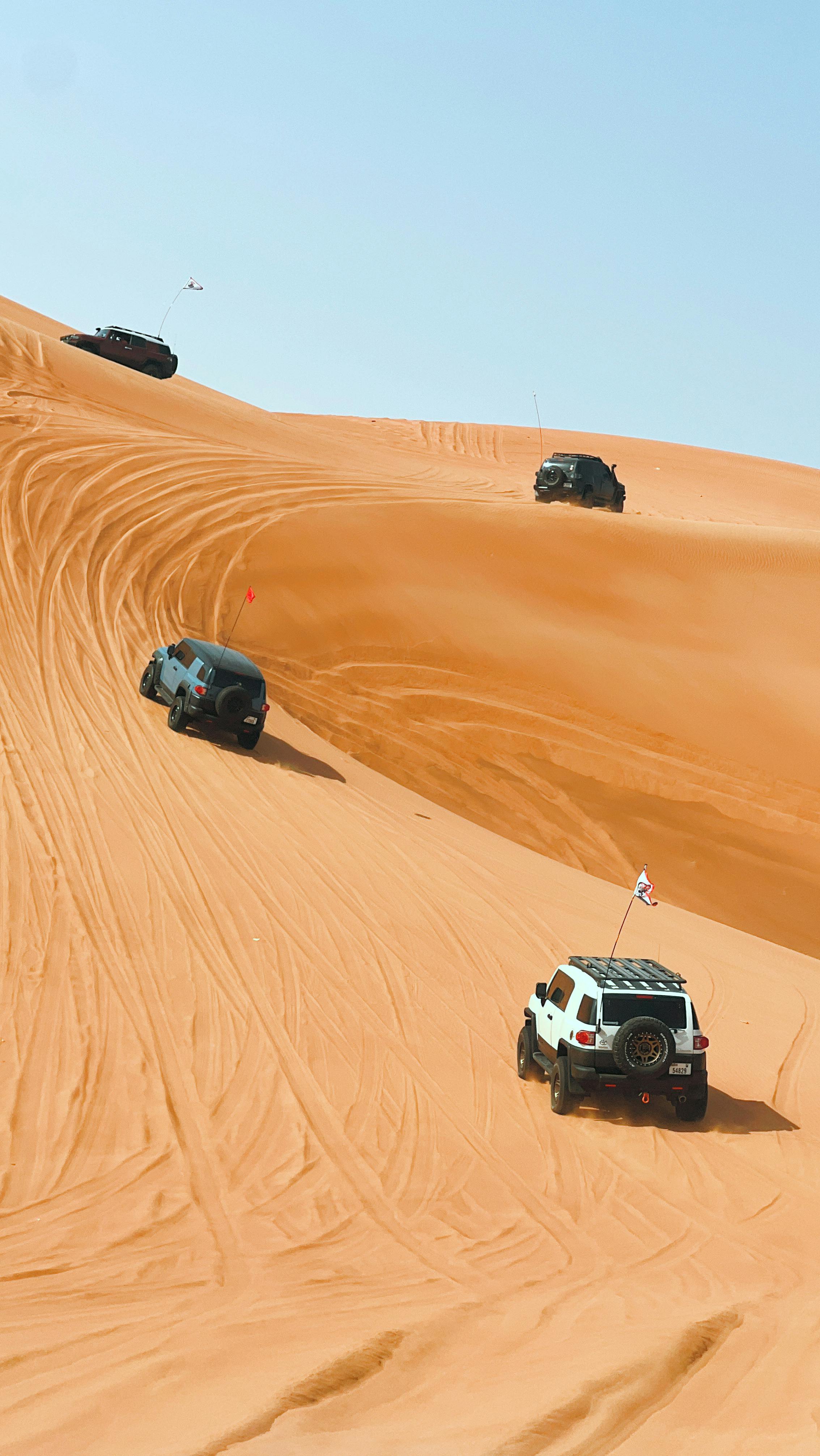 VIP Desert Safari Tour